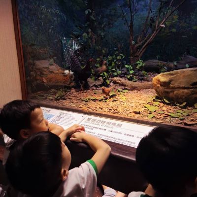 活動照片