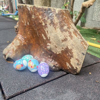 活動照片