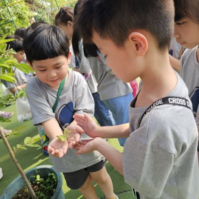 活動照片