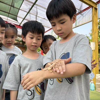 活動照片